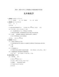 河南省平顶山市郏县2023-2024学年九年级上学期期末学情检测化学试题(1)