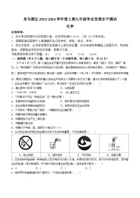 四川省泸州市龙马潭区2023-2024学年九年级上学期1月期末化学试题