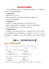 专题06 化学用语及相关计算（第02期）-2023年中考化学真题分项汇编（全国通用）