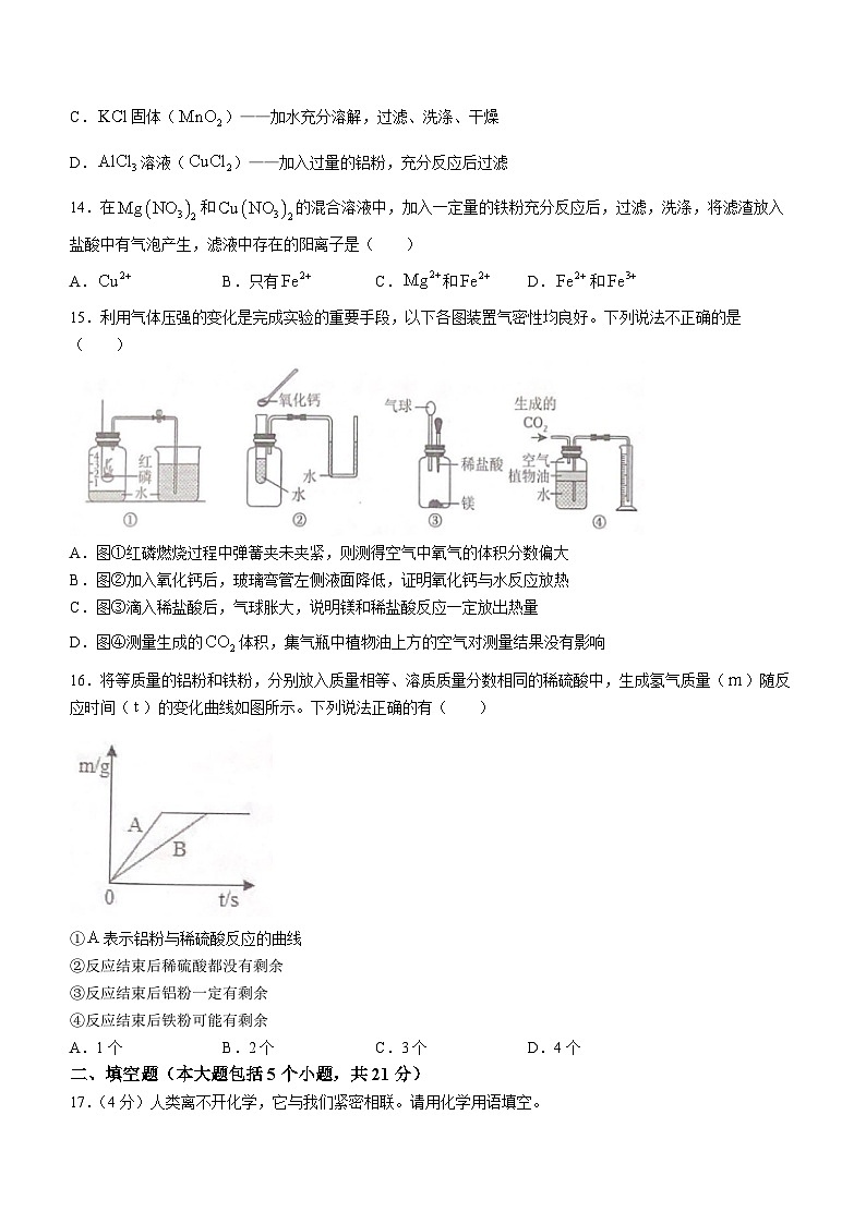 重庆市育才中学校2023-2024学年九年级下学期开学化学试题()03