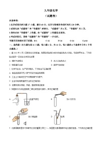 安徽省淮北市2023-2024学年九年级上学期1月期末化学试题（原卷+解析）