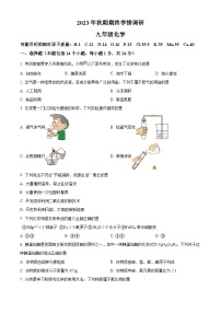 河南省南阳市桐柏县2023-2024学年九年级上学期1月期末化学试题（原卷+解析）