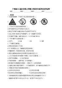 广西省2024届九年级上学期12月综合作业评价化学试卷(含答案)