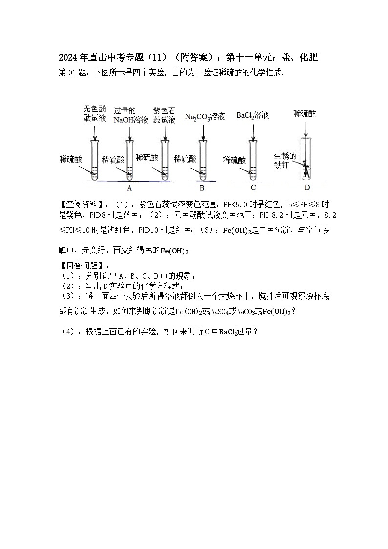 2024年直击中考专题（11）（附答案）：第十一单元：盐、化肥第1页