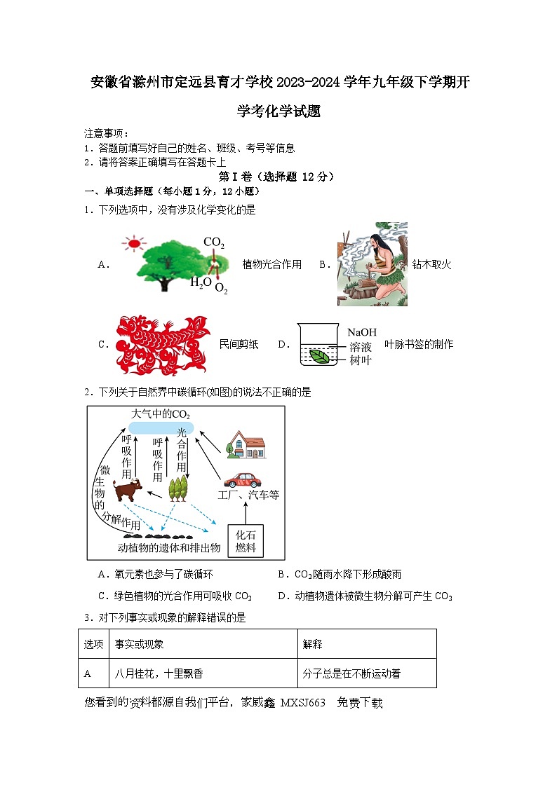 安徽省滁州市定远县育才学校2023-2024学年九年级下学期开学考化学试题01
