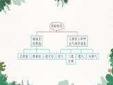 人教版化学九年级上册 1.2 化学是一门以实验为基础的科学课件