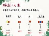 人教版化学九年级上册 3.3 元素课件