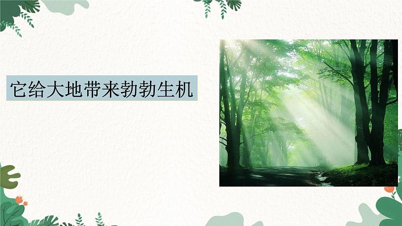 人教版化学九年级上册 6.2 二氧化碳制取的研究课件第3页