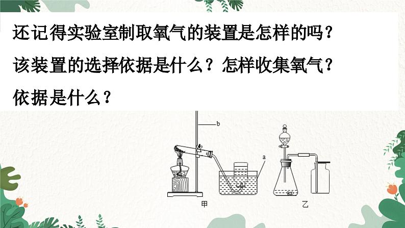 人教版化学九年级上册 6.2 二氧化碳制取的研究课件第6页