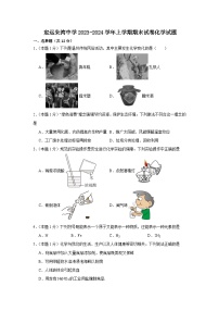 安徽省滁州市定远县朱湾中学2023-2024学年九年级上学期期末化学试题