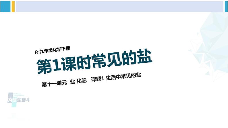 人教版九年级化学下册 第十一单元 盐 化肥第一课时 常见的盐（课件）01