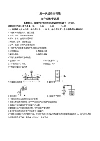 29，2024年陕西省西安市碑林区西安工业大学附属中学中考第一次模拟化学试题()