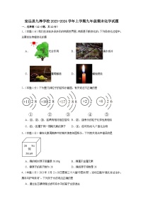 安徽省滁州市定远县九梓学校2023-2024学年上学期九年级期末化学试题