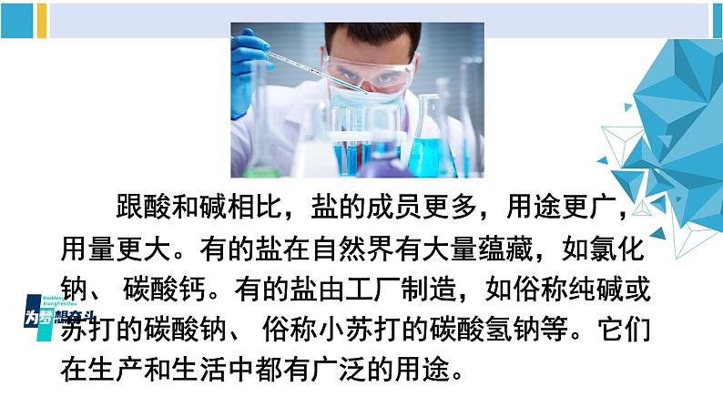 科粤版九年级化学下册 第八章 常见的酸、碱、盐第一课时 几种常见盐的用途 盐的组成（课件）04