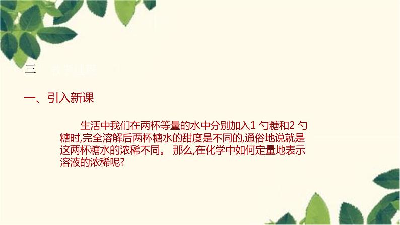 人教版化学九年级下册 第9单元 课题3 溶液的浓度 第 1 课时 溶质质量分数课件04