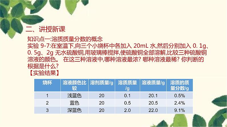 人教版化学九年级下册 第9单元 课题3 溶液的浓度 第 1 课时 溶质质量分数课件05