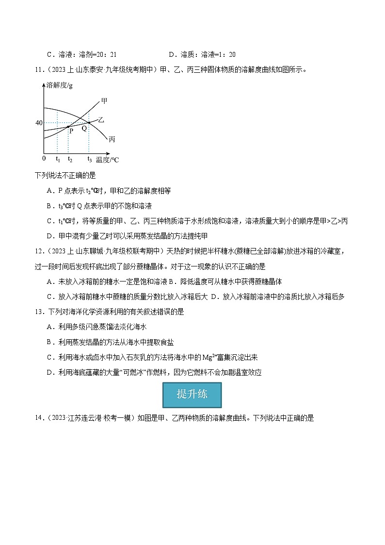 课题2 溶解度 第2课时（分层练习）（原卷版）第3页