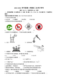 广东省湛江市雷州市雷州市第二中学2023-2024学年九年级上学期开学化学试题