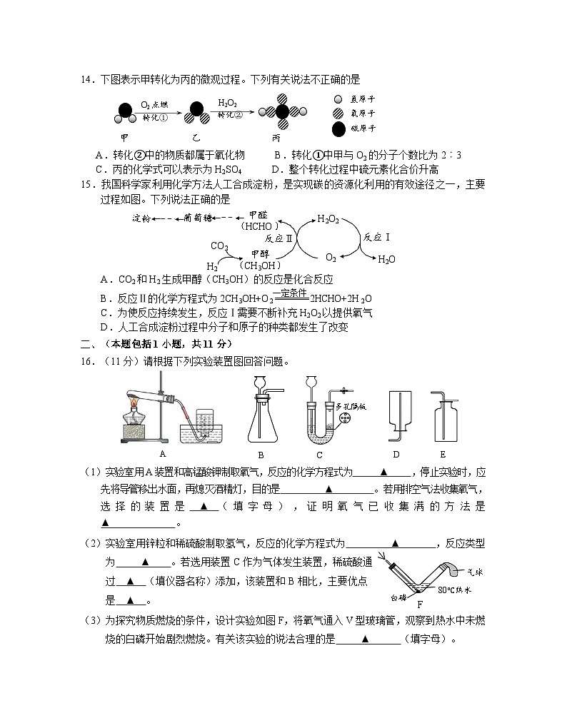 2023-2024期末1229第3页