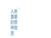 《化学与生活》（复习课件）-九年级化学下册同步备课系列（人教版）