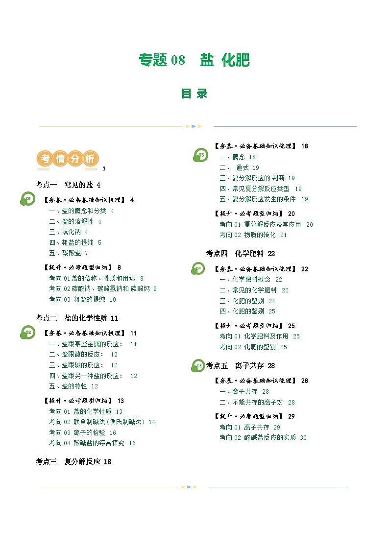 专题08 盐 化肥（讲义）-2024年中考化学一轮复习讲练测（全国通用）（原卷版）第1页
