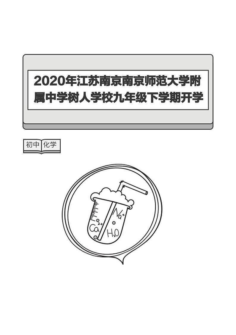 2020年江苏南京南京师范大学附属中学树人学校九年级下学期开学考试化学试卷(3)-题目版第1页