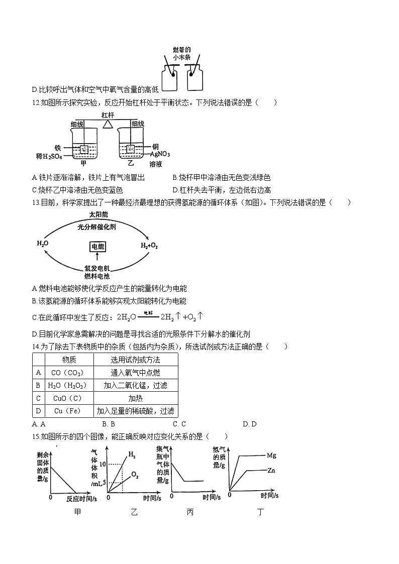 广东省惠州市华侨中学2023-2024学年九年级下学期化学开学考试卷()第3页