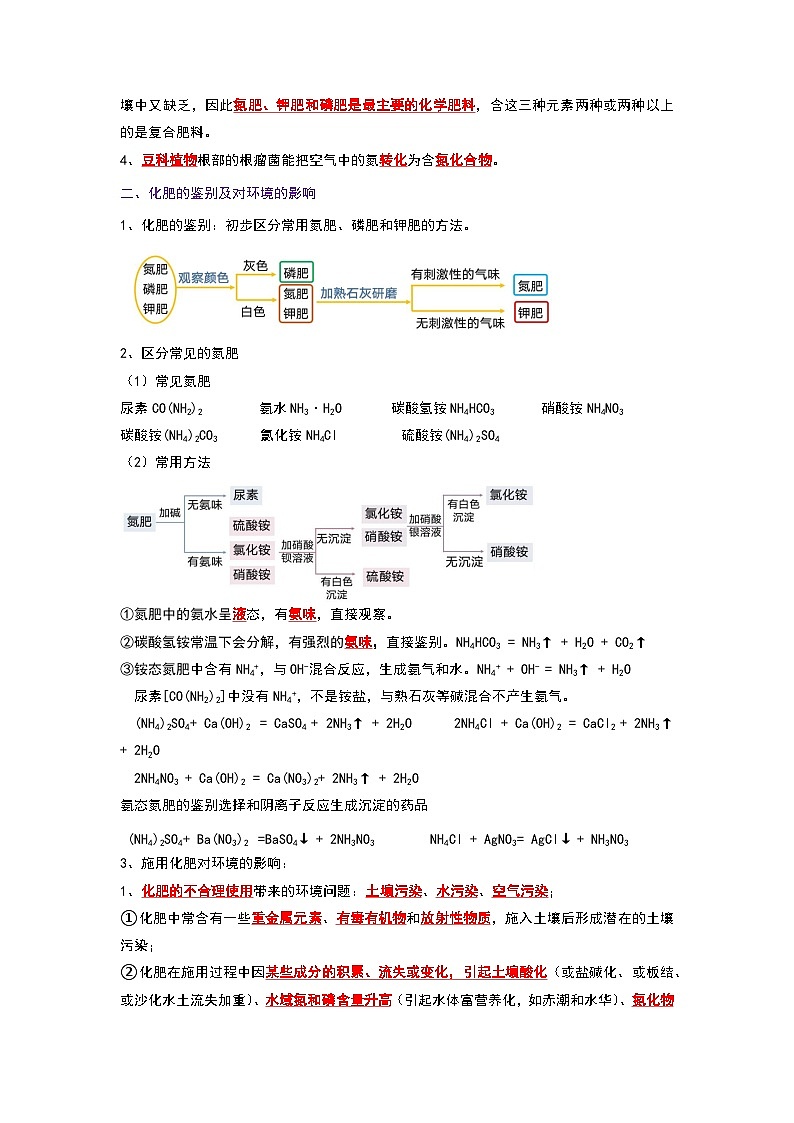 11.2 化学肥料（考点解读）（原卷版）第2页