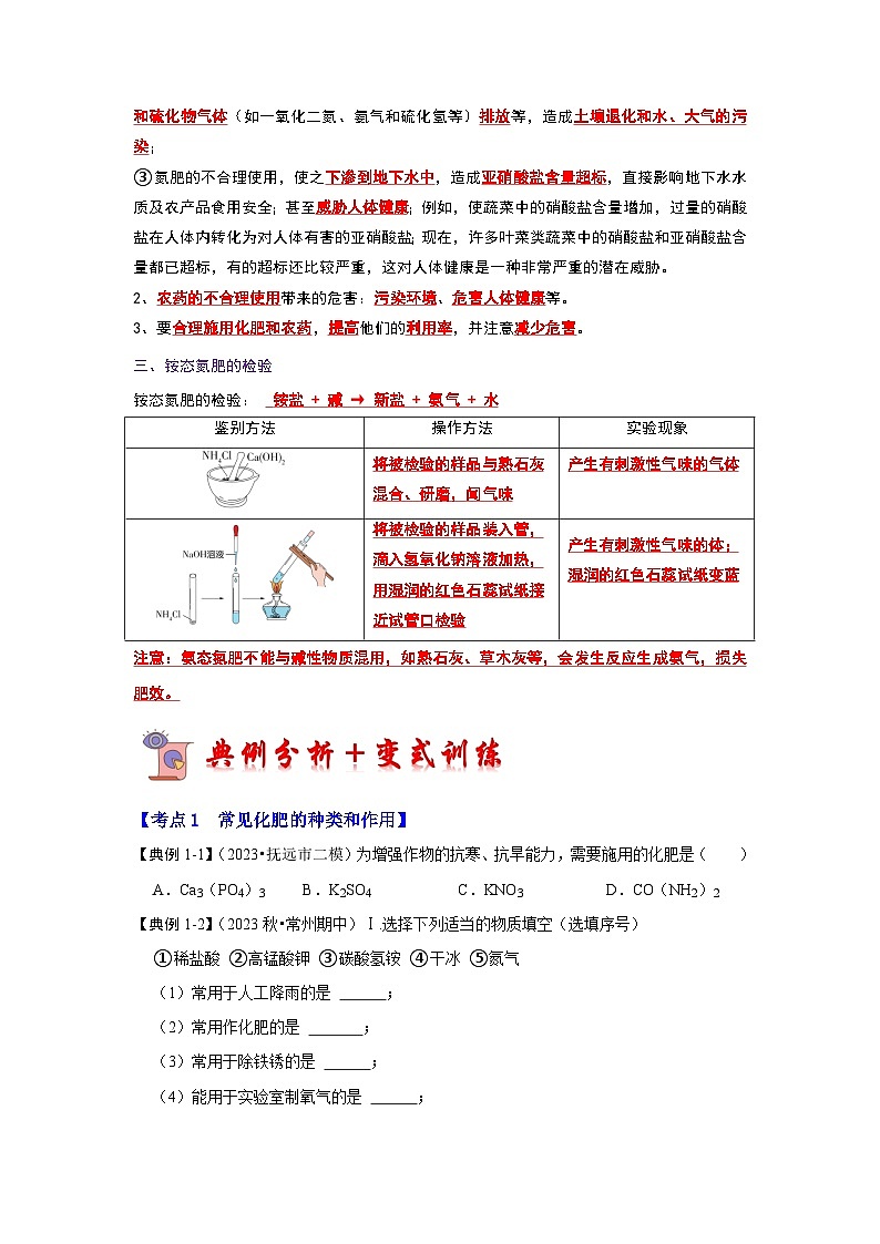 11.2 化学肥料（考点解读）（原卷版）第3页