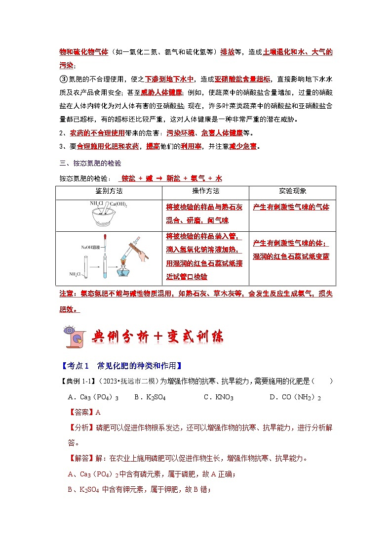 11.2 化学肥料（考点解读）（解析版）第3页