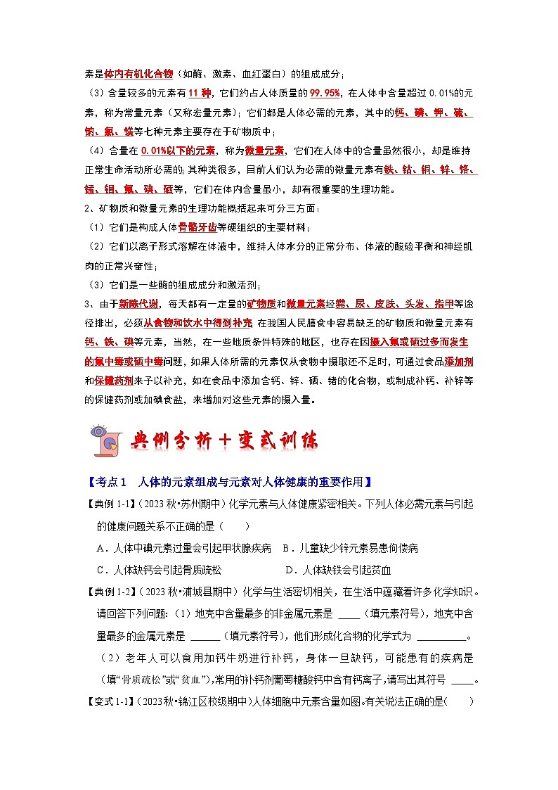 12.2 化学元素与人体健康（考点解读）-2023-2024学年九年级化学下册同步重难点解读和专题突破（人教版）03