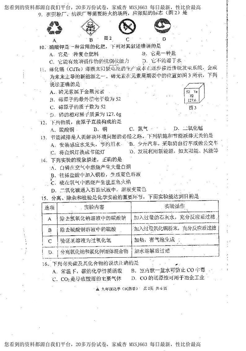 广西河池市罗城仫佬族自治县2023-2024学年九年级下学期开学适应性检测化学试卷第2页
