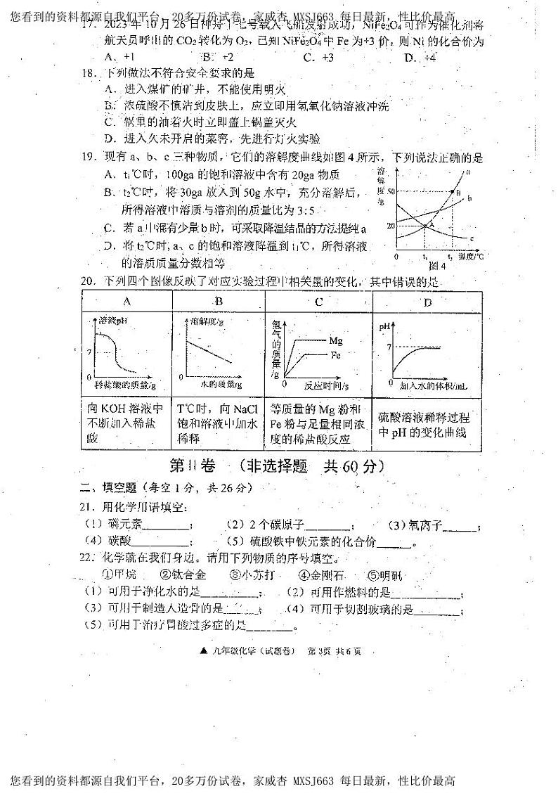 广西河池市罗城仫佬族自治县2023-2024学年九年级下学期开学适应性检测化学试卷第3页