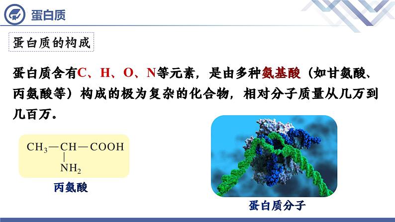 课题1++人类重要的营养物质07