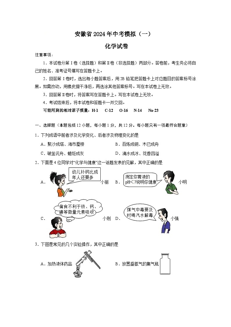 118，2024年安徽省中考模拟化学试卷（一）01