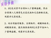 鲁教版化学九年级下册 第七单元 第一节 酸及其性质(1) 课件