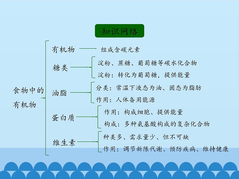 鲁教版化学九年级下册 第十单元 第一节 食物中的有机物_ 课件02