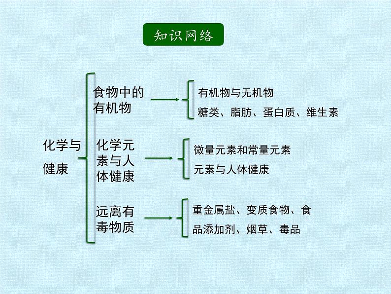 鲁教版化学九年级下册 第十单元 第十单元  化学与健康 复习 课件02