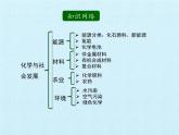 鲁教版化学九年级下册 第十一单元  化学与社会发展 复习 课件