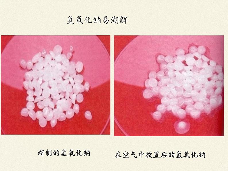 鲁教版化学九年级下册 第七单元 第二节 碱及其性质(2) 课件第5页