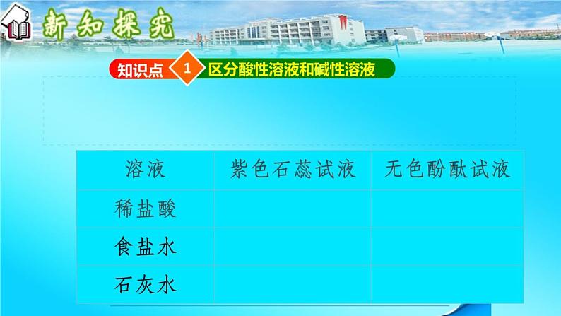 鲁教版化学九年级下册 第七单元 第三节 溶液的酸碱性 课件第3页