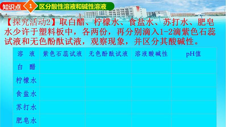 鲁教版化学九年级下册 第七单元 第三节 溶液的酸碱性 课件第4页