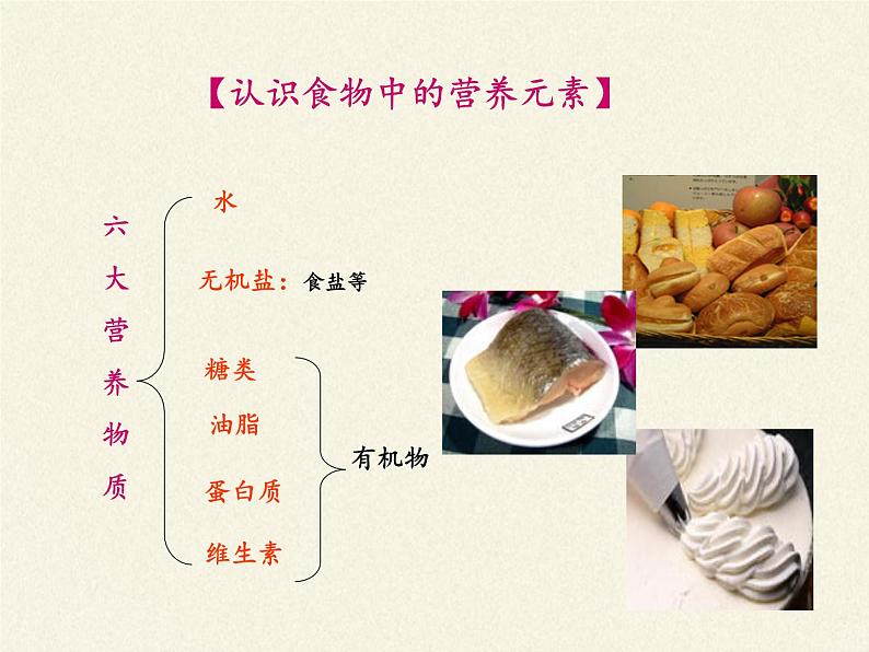 鲁教版化学九年级下册 第十单元 第一节 食物中的有机物 课件06