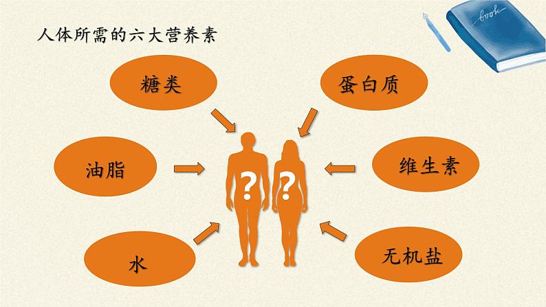 鲁教版化学九年级下册 第十单元 第一节 食物中的有机物(1) 课件03