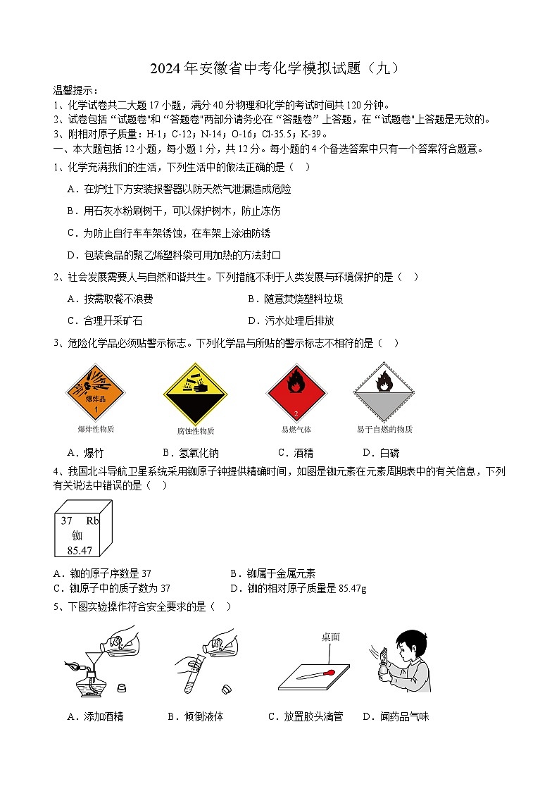 2024年安徽省中考化学模拟试题（九）第1页