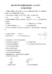 广东省广州市第十中学2023-2024学年九年级下学期3月月考化学试题