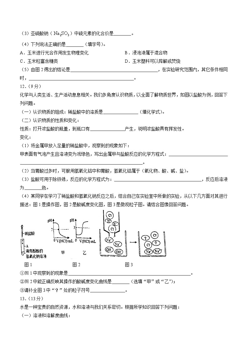 辽宁省沈阳市雨田实验中学2023-2024学年九年级下学期开学测试题化学试题()第3页