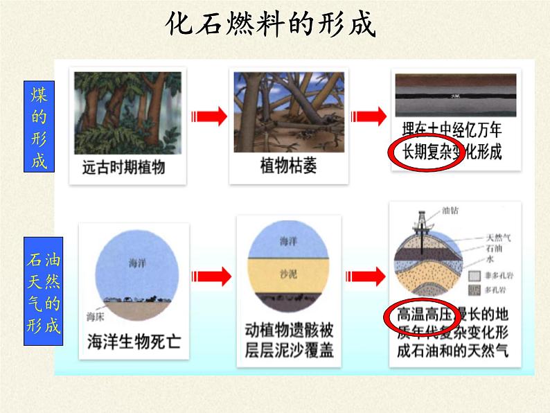 鲁教版五四制化学八年级全一册 第六单元 第二节 化石燃料的利用 课件第3页