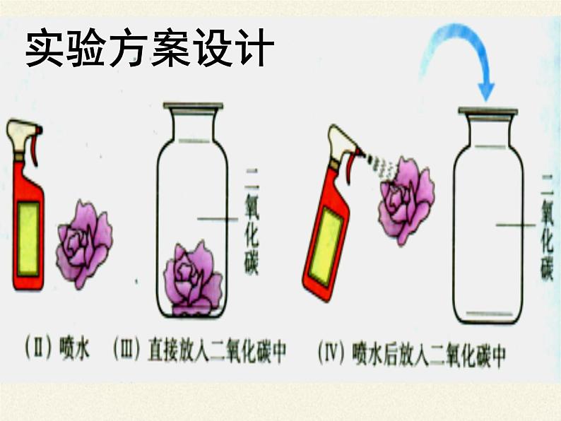 鲁教版五四制化学八年级全一册 第六单元 到实验室去 二氧化碳的实验室制取与性质(2) 课件第8页