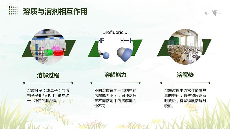 9.1溶液的形成课件---2023-2024学年九年级化学人教版下册第4页